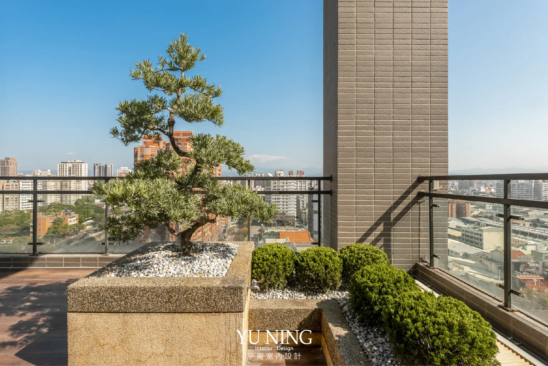 台中南區謝公館大露臺,造型松樹與城市景色